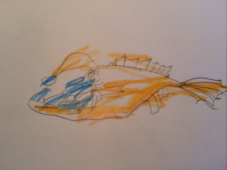 child's angler fish drawing