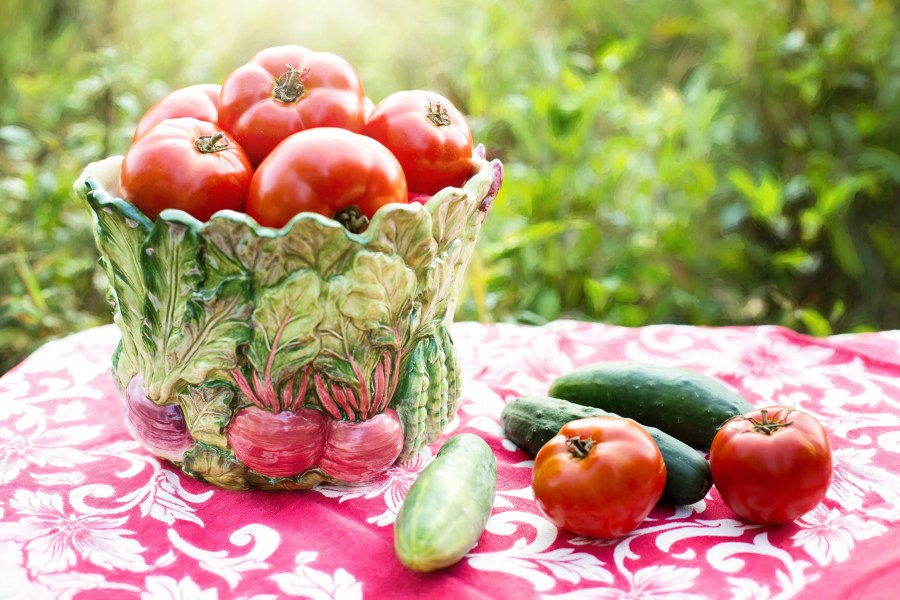 Tomatoes and cucumbers in a summer garden
