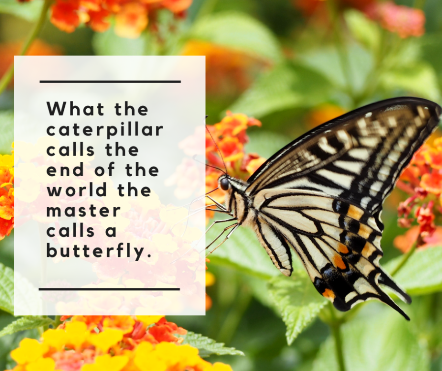 caterpillar quote
