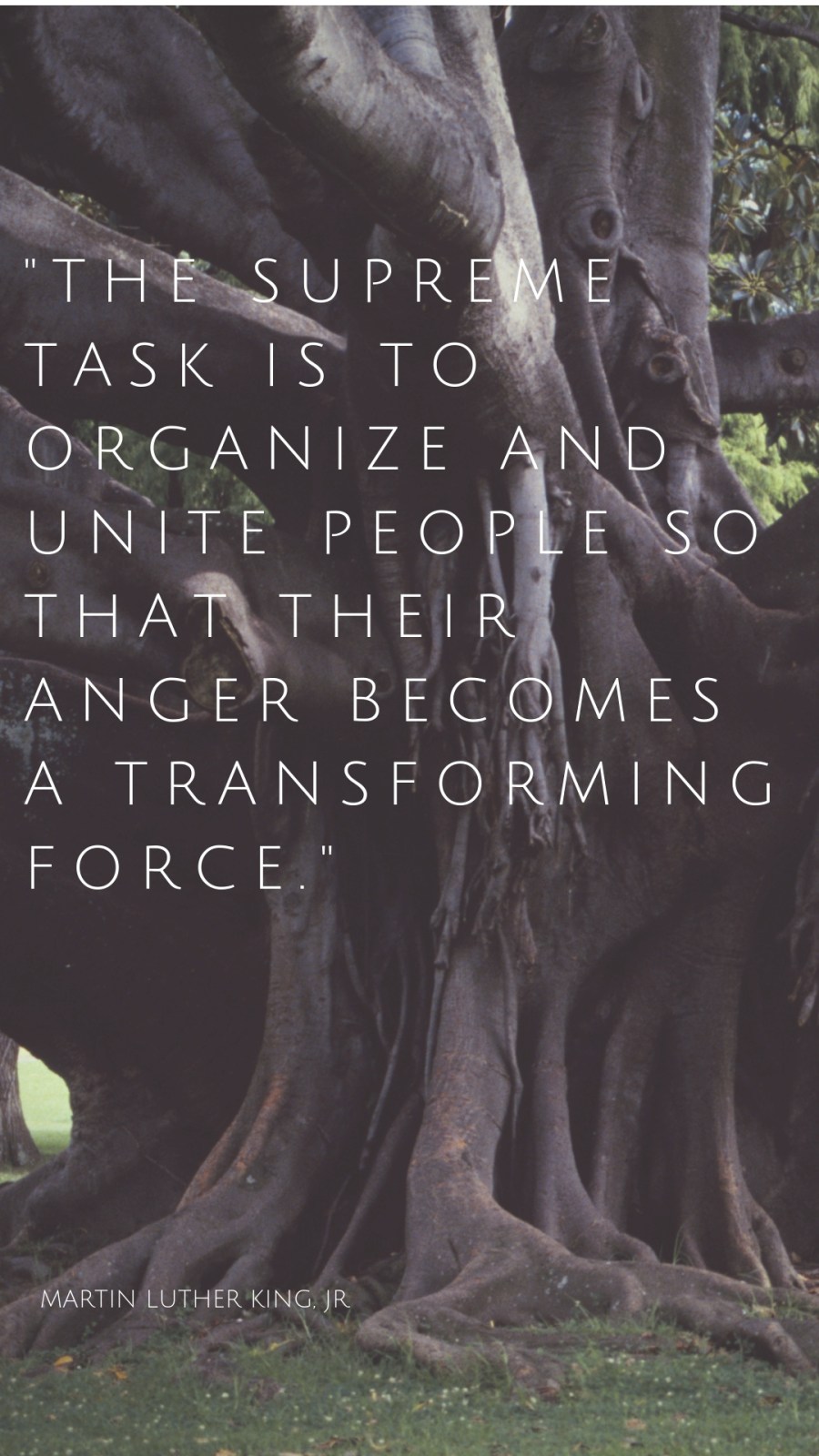 MLK Jr anger transform